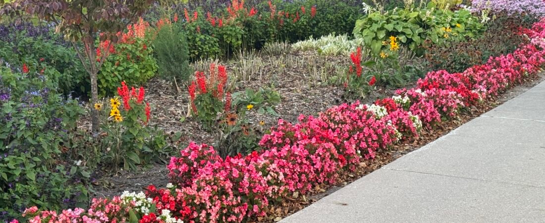 Integrating Hardscape and Horticulture: The Blueprint for Modern Waterfront Urban Design