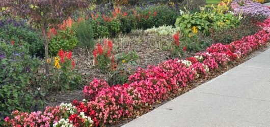 Integrating Hardscape and Horticulture: The Blueprint for Modern Waterfront Urban Design