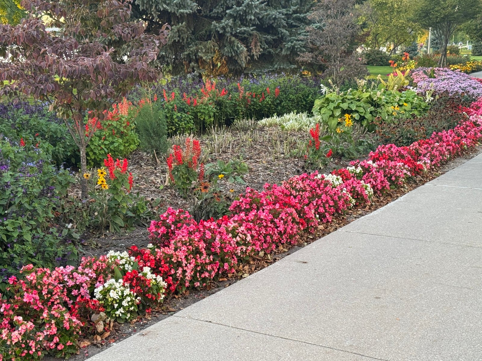 Integrating Hardscape and Horticulture: The Blueprint for Modern Waterfront Urban Design
