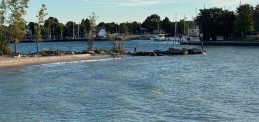 Engineering the Coastline: Coastal Geomorphology, Riparian Buffers, and Maritime Safety Along International Waterways