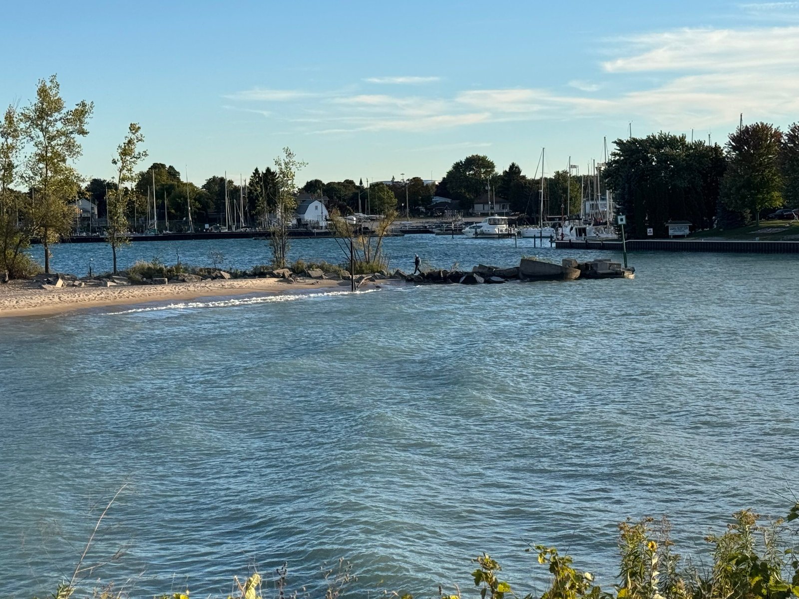 Engineering the Coastline: Coastal Geomorphology, Riparian Buffers, and Maritime Safety Along International Waterways