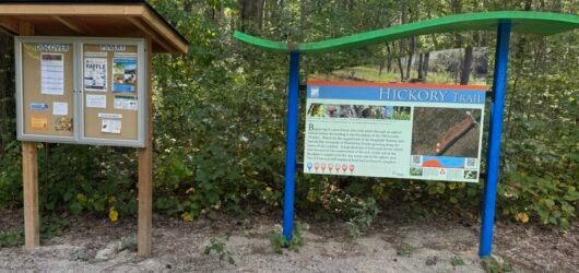 Discovering Pinery Provincial Park: A Scenic Walk Along Hickory Trail