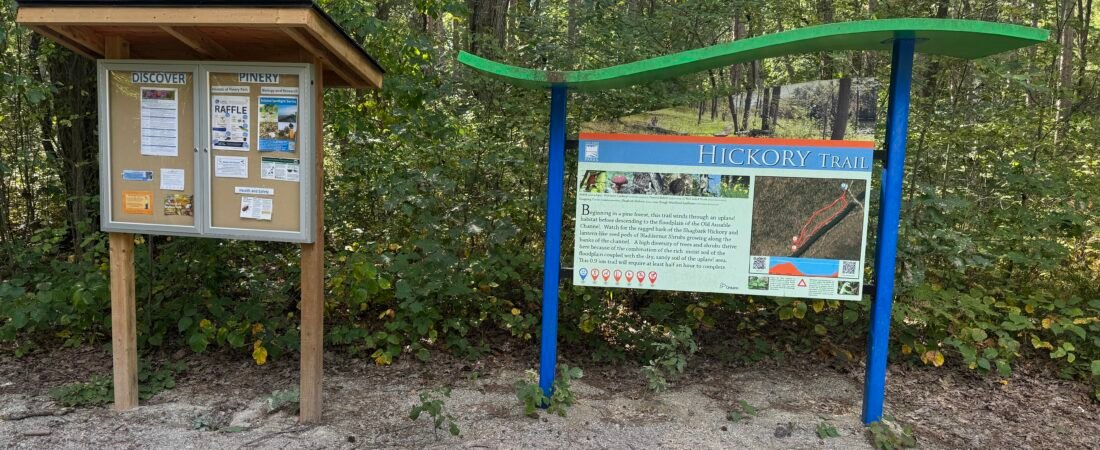 Discovering Pinery Provincial Park: A Scenic Walk Along Hickory Trail